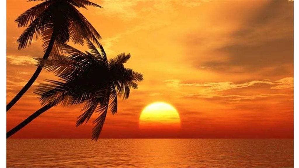 Holiday Villas III #311 Clearwater Beach Εξωτερικό φωτογραφία